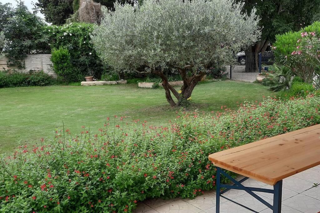 Villa L'Estel En Campagne Avec Piscine Privee Proche Arles Et Avignon تاراسكون المظهر الخارجي الصورة
